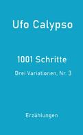 Ufo Calypso: 1001 Schritte - Drei Variationen, Nr. 3 