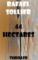 Rafael Sollier: 44 Hectares 