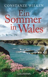 Ein Sommer in Wales - Roman