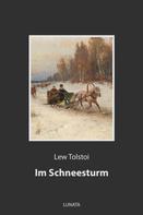Leo Tolstoi: Im Schneesturm 