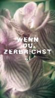 Franziska Wild: Wenn du zerbrichst ★★★★★