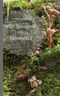 Christina de Groot: Willi Hummel im Mooswald 