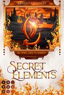 Johanna Danninger: Secret Elements 4: Im Spiel der Flammen ★★★★★