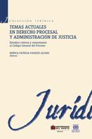 Monica Vasquez: Temas actuales en derecho procesal y administración de justicia 