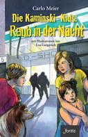 Carlo Meier: Die Kaminski-Kids: Raub in der Nacht 