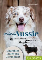 Mini Aussie und Miniature American Shepherd - Charakter, Erziehung, Gesundheit