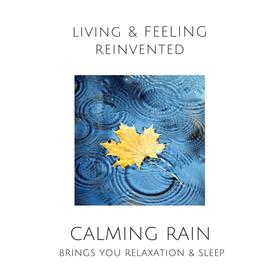 Calming Rain: Brings You Relaxation and Sleep
