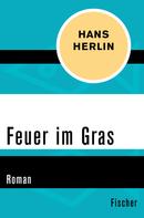 Hans Herlin: Feuer im Gras 