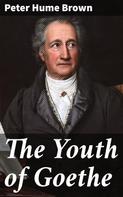 Peter Hume Brown: The Youth of Goethe 
