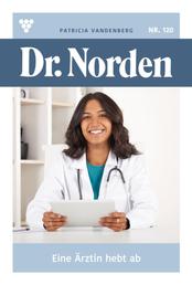 Eine Ärztin hebt ab - Dr. Norden 120 – Arztroman
