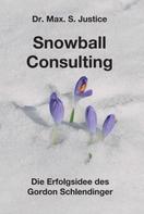 Dr. Max. S. Justice: Snowball Consulting 