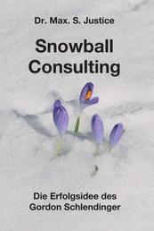 Snowball Consulting - Die Erfolgsidee des Gordon Schlendinger