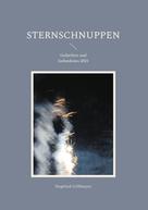Siegfried Grillmeyer: Sternschnuppen 