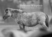 Dülmener Wildpferde - ein Bildband mit Texten von Kindern