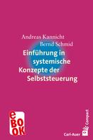 Andreas Kannicht: Einführung in systemische Konzepte der Selbststeuerung 
