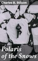 Charles B. Stilson: Polaris of the Snows 