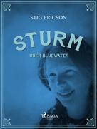 Stig Ericson: Sturm über Bluewater ★★★★★