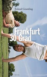 Frankfurt 30 Grad - Roman