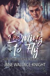 Learning to Fly: Fliegen lernen