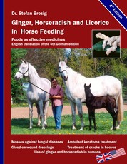 Ginger, horseradish and licorice in horse feeding - Foods as effective medicines