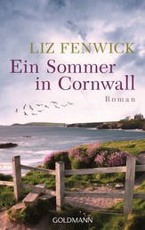 Ein Sommer in Cornwall - Roman