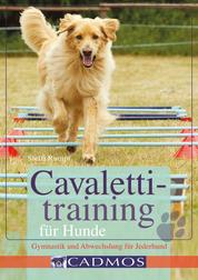 Cavalettitraining für Hunde - Gymnastik und Abwechslung für Jederhund