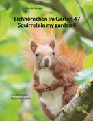 Mario Porten: Eichhörnchen im Garten 4 / Squirrels in my garden 4 