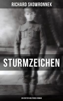 Sturmzeichen (Ein Erster-Weltkrieg-Roman)