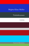 Brigitta Klaas Meilier: Tiefenbrunnen 