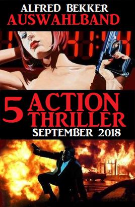 Auswahlband 5 Action Thriller September 2018