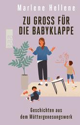 Zu groß für die Babyklappe - Geschichten aus dem Müttergenesungswerk