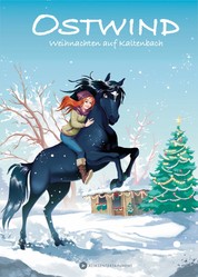 Ostwind - Weihnachten auf Kaltenbach - Pferdegeschichten für Leseanfänger ab 6 Jahren