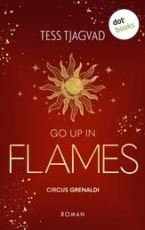Go up in Flames - Roman | Circus Grenaldi 2