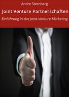 André Sternberg: Joint Venture Partnerschaften 