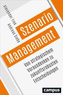 Alexander Fink: Szenario-Management 