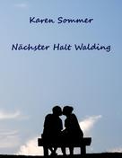 Karen Sommer: Nächster Halt Walding 