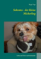 Birgit Vogt: Sokrates - der kleine Mickerling 