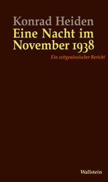 Eine Nacht im November 1938 - Ein zeitgenössischer Bericht