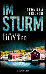 Im Sturm - Ein Fall für Lilly Hed | Blitzender Hass: Die Vier-Elemente-Krimireihe aus Schweden 2