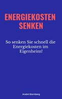 André Sternberg: Energiekosten senken 
