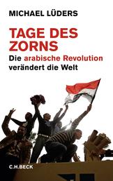 Tage des Zorns - Die arabische Revolution verändert die Welt