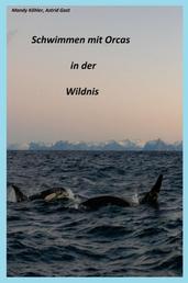Schwimmen mit Orcas in der Wildnis - Schwimmen mit Walen