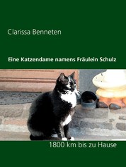 Eine Katzendame namens Fräulein Schulz - 1800 km bis zuhause