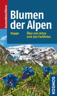 Ansgar Hoppe: Blumen der Alpen 
