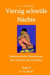Vierzig schwüle Nächte 2 - Homoerotische Märchen aus dem Land der lila Liebeslust