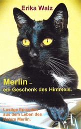 Merlin - ein Geschenk des Himmels. - Lustige Episoden aus dem Leben des Katers Merlin.