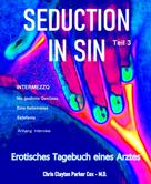 Dirk Schneider: SEDUCTION in SIN - Teil 3 