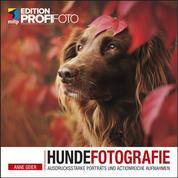 Hundefotografie - Ausdrucksstarke Porträts und actionreiche Aufnahmen