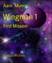 Wingman 1 - First Mission