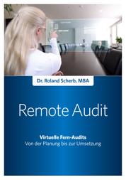 Remote-Audit - Virtuelle Fern-Audits - Von der Planung bis zur Umsetzung